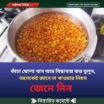 কাঁচা ছোলা খান আর বিছানায় ঝড় তুলুন , অনেকেই জানে না খাওয়ার নিয়ম