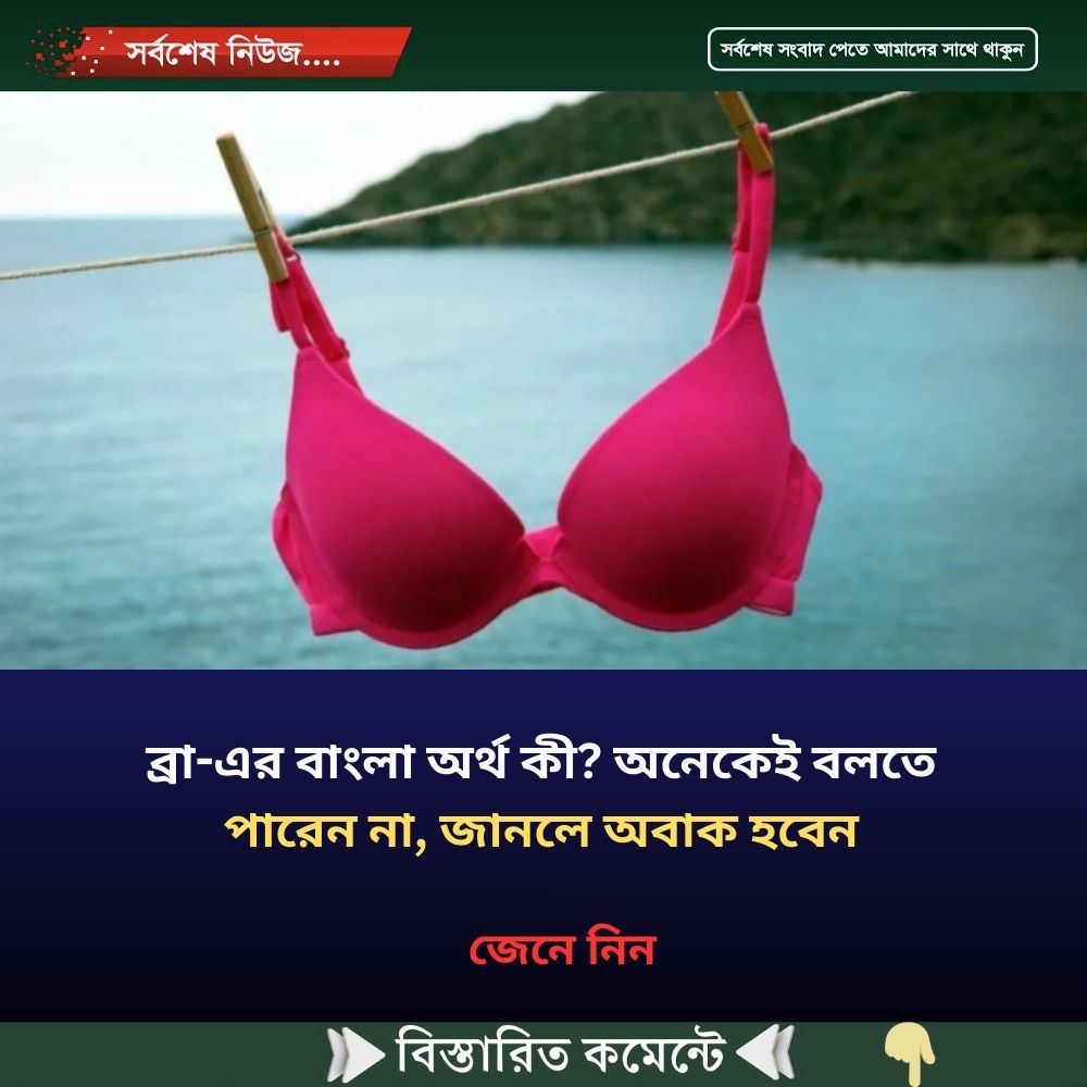ব্রা-এর বাংলা অর্থ কী? অনেকেই বলতে পারেন না, জানলে অবাক হবেন