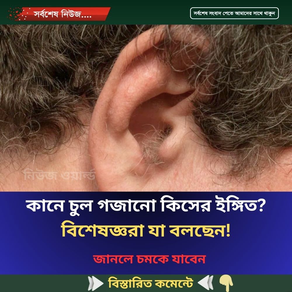 কানে চুল গজানো কিসের ই’ঙ্গিত? বিশেষজ্ঞরা যা বলছেন…see more