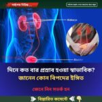 দিনে কত বার প্রস্রাব হওয়া স্বাভাবিক? জানেন কোন বিপদের ইঙ্গিত