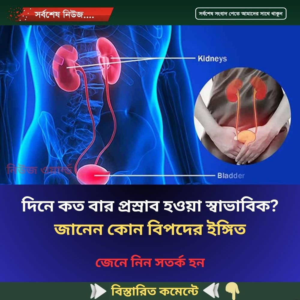 দিনে কত বার প্রস্রাব হওয়া স্বাভাবিক? জানেন কোন বিপদের ইঙ্গিত