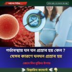 গর্ভাবস্থায় ঘন ঘন প্রস্রাব হয় কেন ?  যেসব কারণে ঘনঘন প্রস্রাব হয়