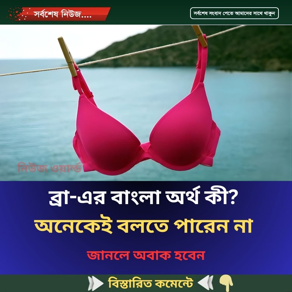 ব্রা-এর বাংলা অর্থ কী? অনেকেই বলতে পারেন না, জানলে অবাক হবেন
