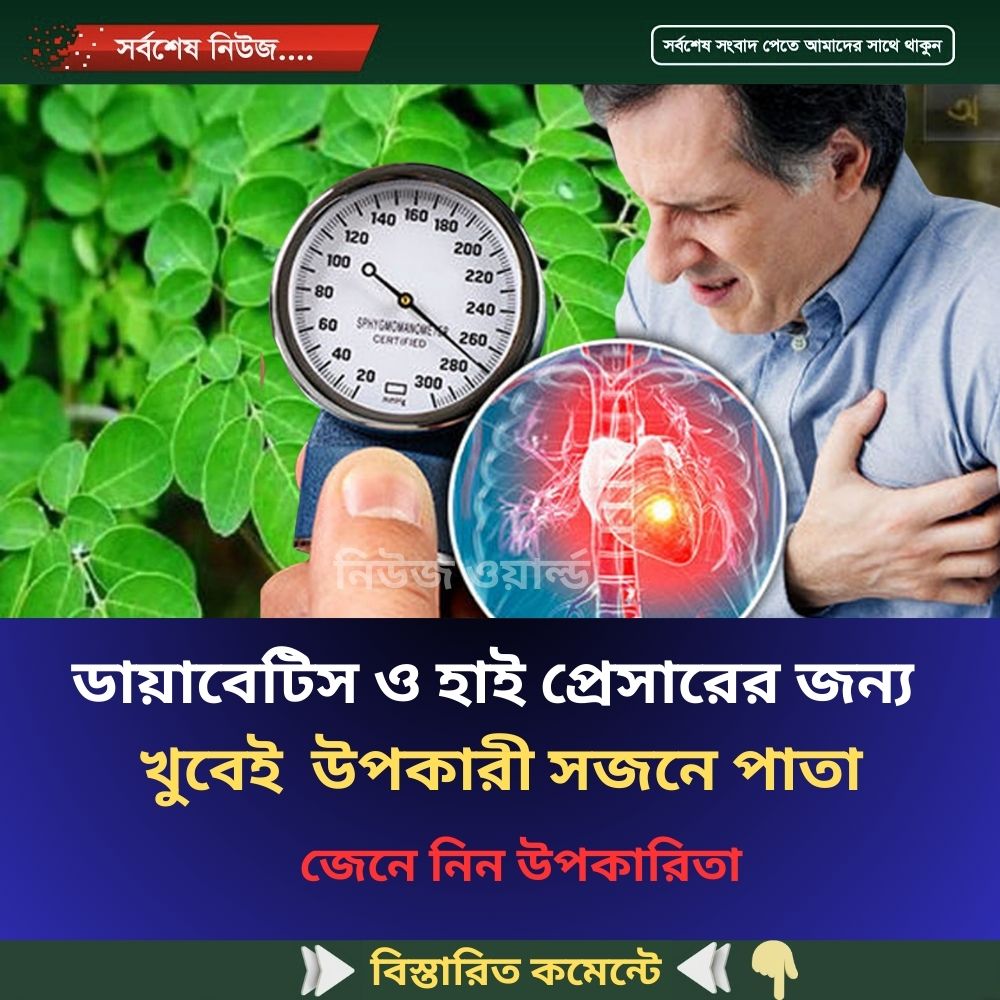 ডায়াবেটিস ও হাই প্রেসারের জন্য খুবেই উপকারী সজনে পাতা