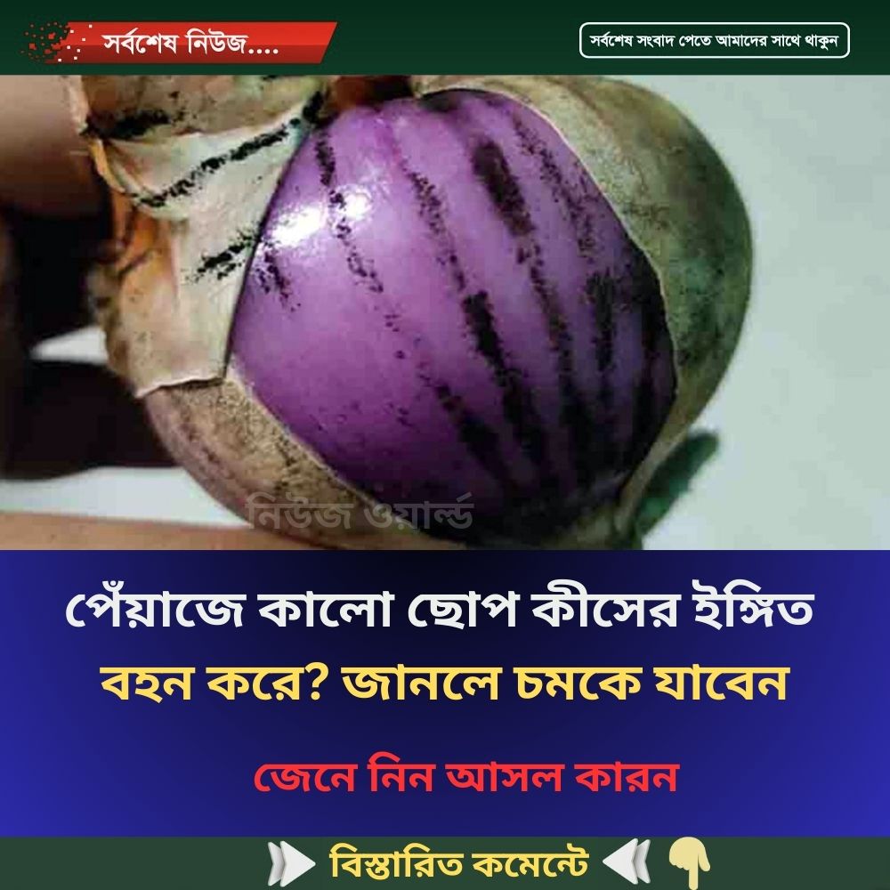 পেঁয়াজে কালো ছোপ কীসের ইঙ্গিত বহন করে? জানলে চমকে যাবেন, জেনে নিন