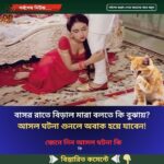 বাসর রাতে বিড়াল মারা বলতে কি বুঝায়? আসল ঘটনা শুনলে অবাক হয়ে যাবেন!