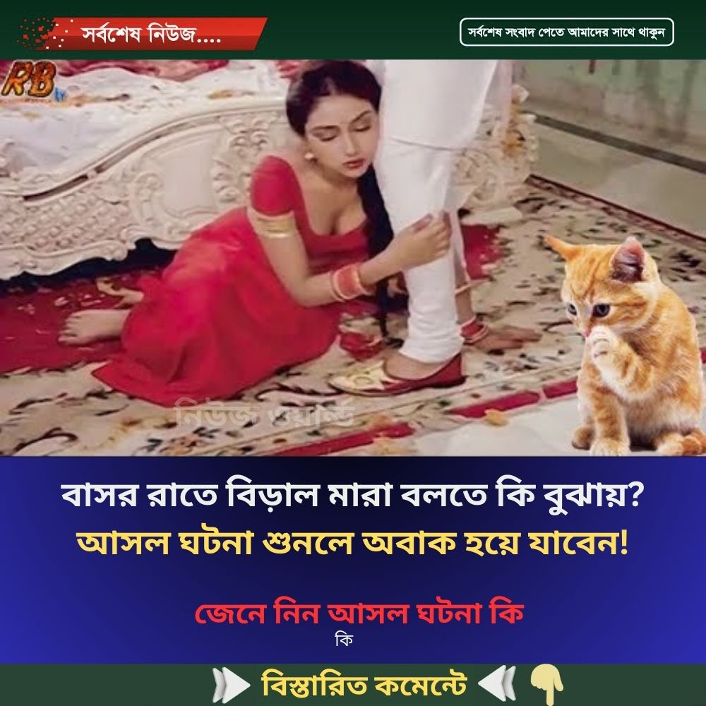 বাসর রাতে বিড়াল মারা বলতে কি বুঝায়? আসল ঘটনা শুনলে অবাক হয়ে যাবেন!