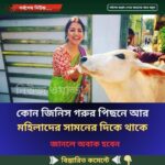কোন জিনিস গরুর পিছনে আর মহিলাদের সামনের দিকে থাকে