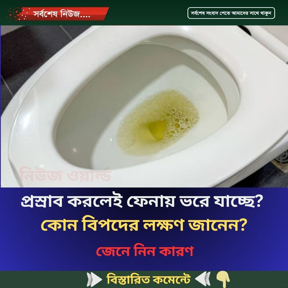 প্রস্রাব করলেই ফেনায় ভরে যাচ্ছে? কোন বিপদের লক্ষণ জানেন?