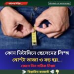 কোন ভিটামিনে ছেলেদের লি*ঙ্গ মো*টা তাজা ও বড় হয়…