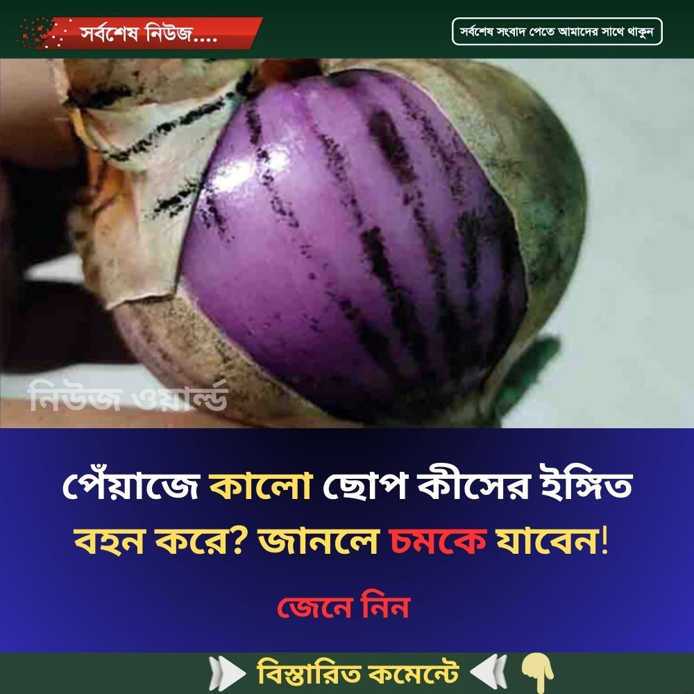পেঁয়াজে কালো ছোপ কীসের ইঙ্গিত বহন করে? জানলে চমকে যাবেন, জেনে নিন