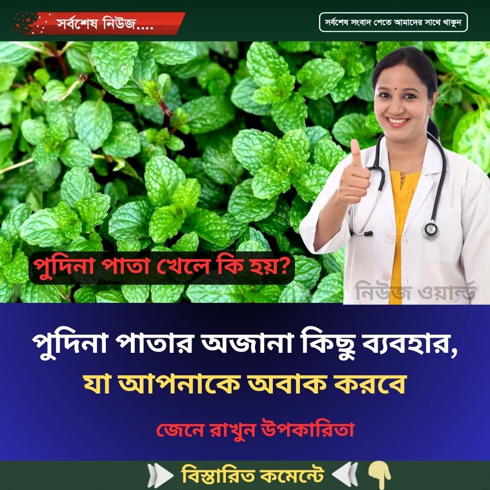 পুদিনা পাতার অজানা কিছু ব্যবহার, যা আপনাকে অবাক করবে