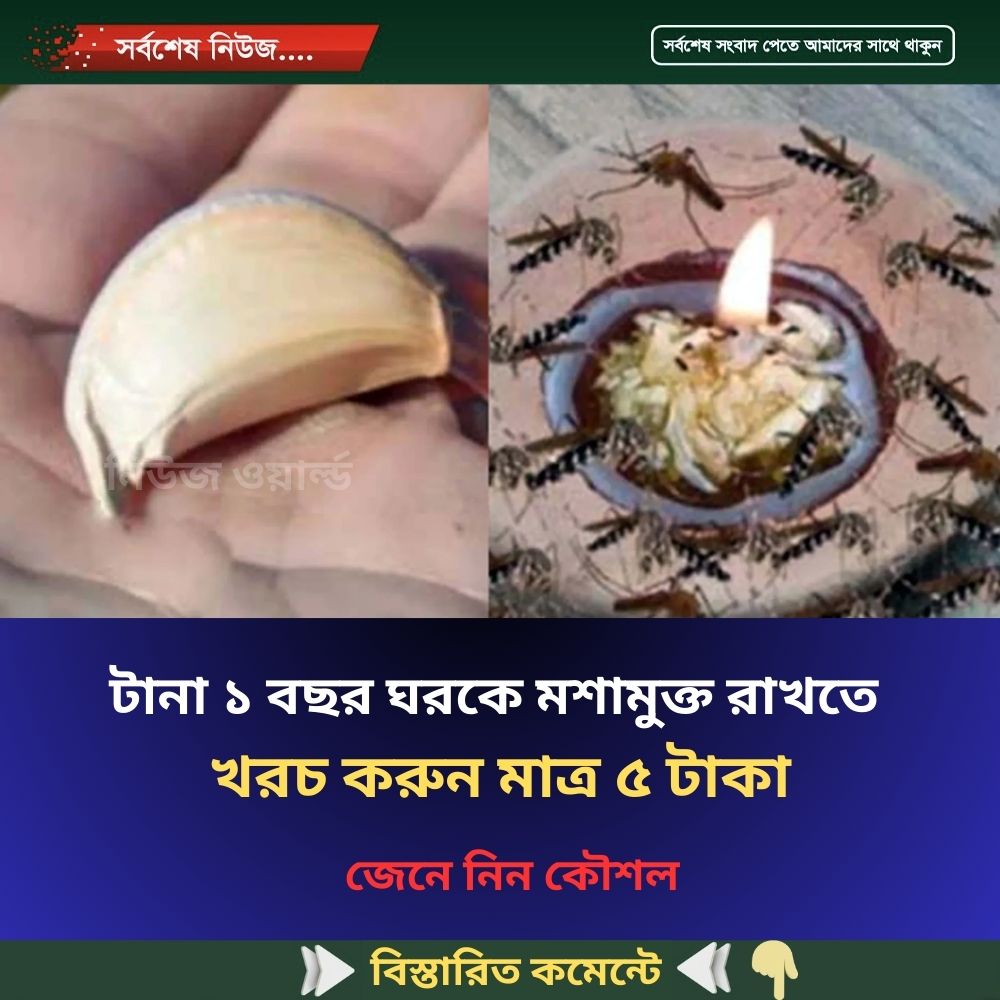 টানা ১ বছর ঘরকে মশামুক্ত রাখতে খরচ করুন মাত্র ৫ টাকা