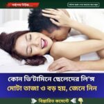কোন ভি’টামিনে ছেলেদের লি’ঙ্গ  মোটা তাজা ও বড় হয়, জেনে নিন