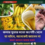 কলার সুতার মতো অংশটি খেলে যা ঘটবে, অনেকেই জানেন না