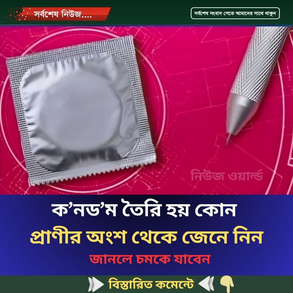ক.নড.ম তৈরি হয় কোন প্রাণীর অংশ থেকে