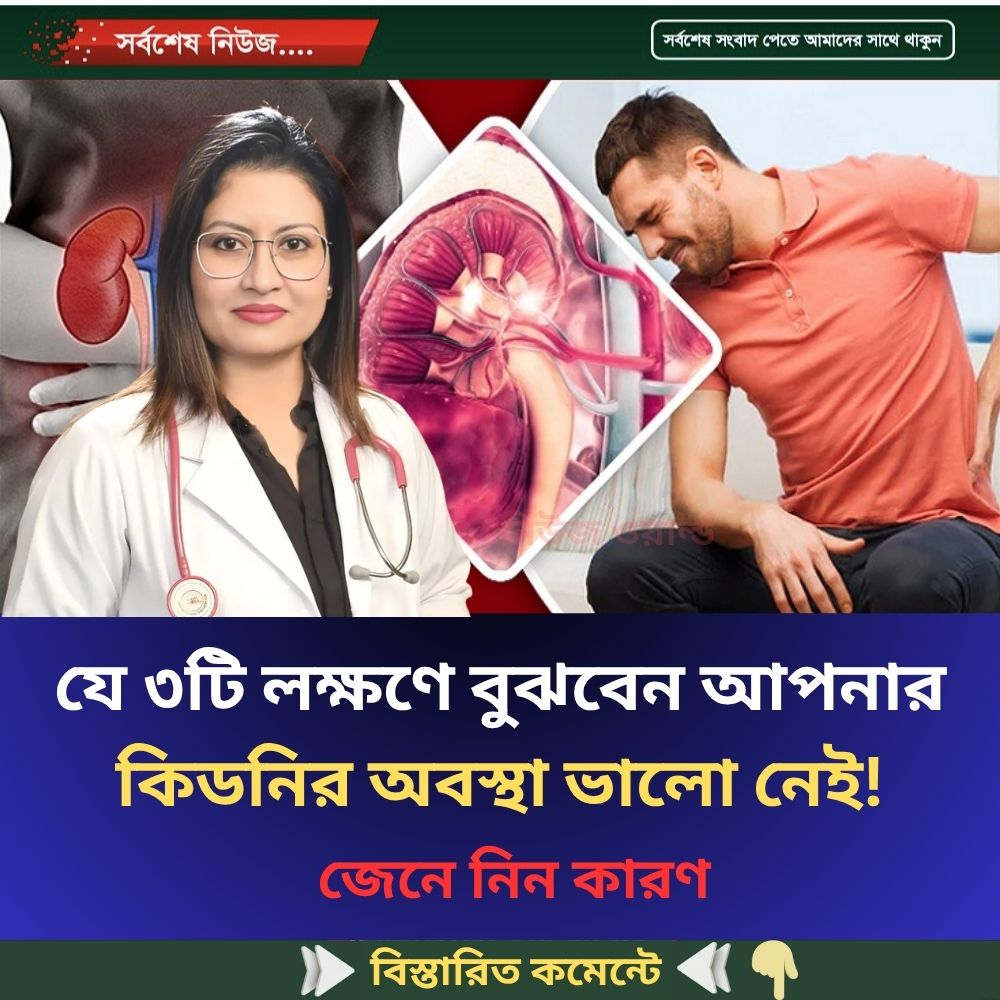 যে ৩টি লক্ষণে বুঝবেন আপনার কিডনির অবস্থা ভালো নেই!
