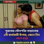 পুরুষের যৌনশক্তি বাড়ানোর ২টি কার্যকরী উপায়, জেনে নিন