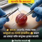 আপনি জানেন? ডাক্তার শেখার সময় আঙুরেই সেলাই প্রাকটিস করা হয়..see more