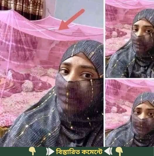 বাচ্চারা ঘুমিয়ে পড়েছে তাই মশারি টানাতে যাচ্ছিলাম হঠাৎ মশারির উপরে তাকিয়ে দেখি…see more