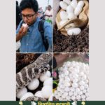ছেলেটি রাস্তায় সেদ্ধ ডিম কিনে খাচ্ছিলো কিছুক্ষণ পরে তার পুরো শরীর…See more