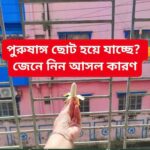 পুরু*ষাঙ্গ ছোট হয়ে যাচ্ছে, জেনেনিন আসল কারণ…see more