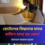 হোটেলের বিছানার চাদর-বালিশ সাদা হয়..See more